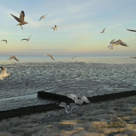 Deichperle Beautiful Location בית נופש