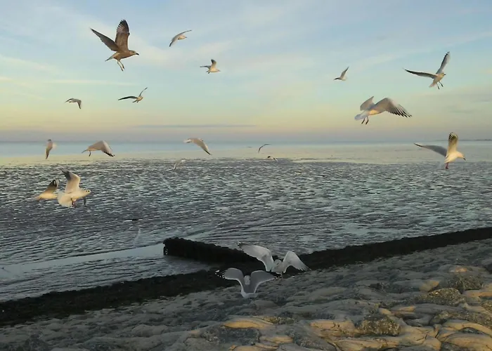 Deichperle Beautiful Location Дом отдыха